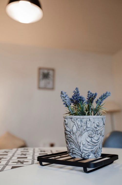Lavande en pot sur support noir dans un appartement de Saint-Malo avec luminaire et horloge