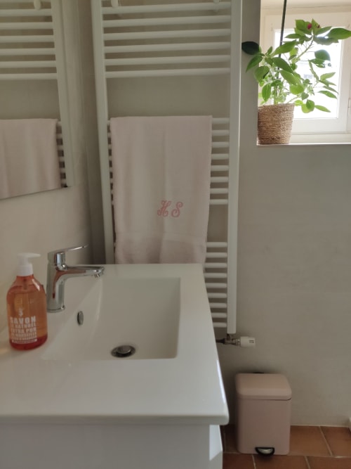 Bathroom of the Rose guest room at Le Rêve d’Alice with white washbasin and natural decor