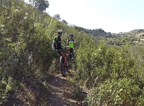 Deux cyclistes sur un sentier de montagne entourés de verdure près de Santa Luzia, Portugal