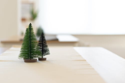 Miniature evergreen trees on wooden desk at B&B La Camia in Castel di Sangro, Italy