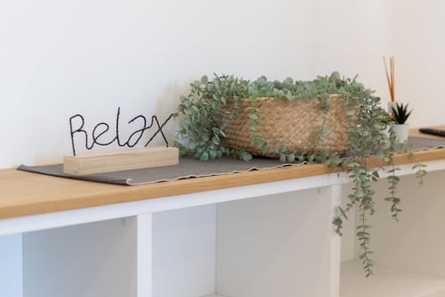 Relaxation corner at B&B La Camia with potted succulent plant and wooden shelf decor in Castel di Sangro