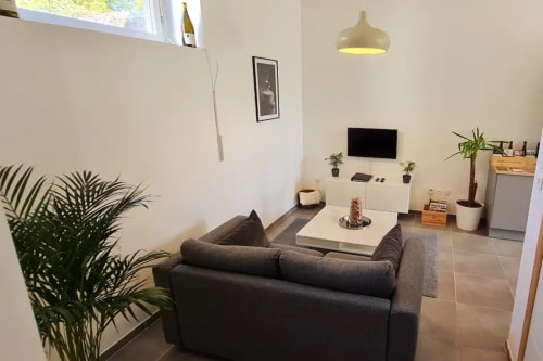 Séjour moderne à Beaune avec canapé gris foncé, téléviseur écran plat, plantes en pots et suspension en laiton