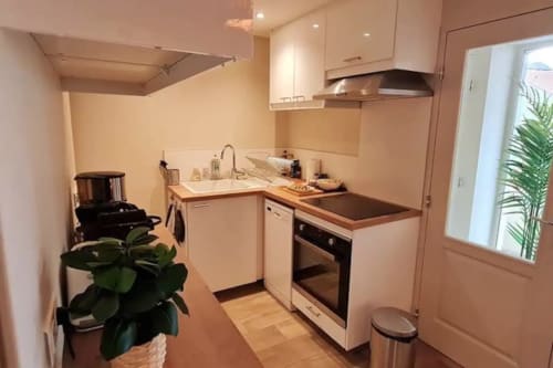 Cuisine moderne avec placards blancs, four noir, plans de travail en bois et plante en pot dans la villa de Beaune à Conciergerie Des