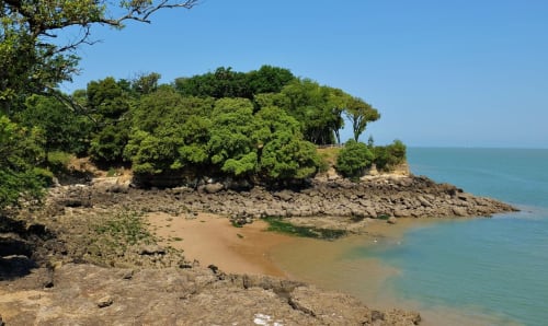 Crique côtière avec arbres luxuriants et rivage rocheux au Pirate Benèze, Trizay France