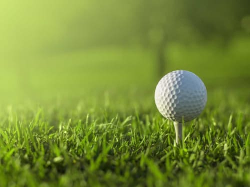 Balle de golf blanche sur tee dans l'herbe verte luxuriante à Villa Eden Bleu, Biscarrosse