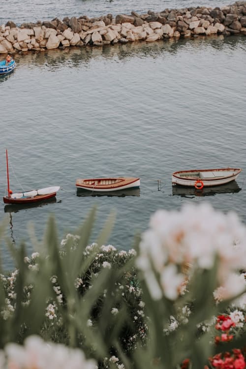 Barche ormeggiate nel porto di Procida con frangiflutti in roccia e piante fiorite in primo piano