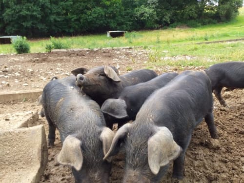la ferme de l'esparnol