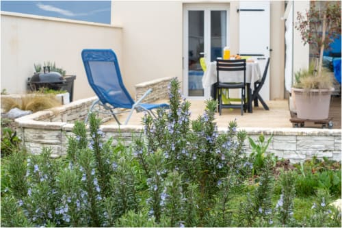 Jardin de chaumière au Pirate Benèze à Trizay avec romarin en fleurs, chaise longue bleue et espace de terrasse