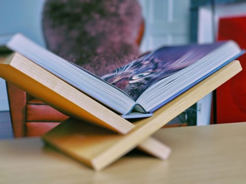 Livre ouvert avec photo de faune sauvage sur un pupitre en bois au gîte Manoir Le Coutureau à Rouffignac de Sigoules