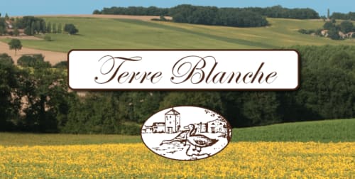 Terre Blanche branding over rolling vineyards and sunflower fields in Saint-Puy, France