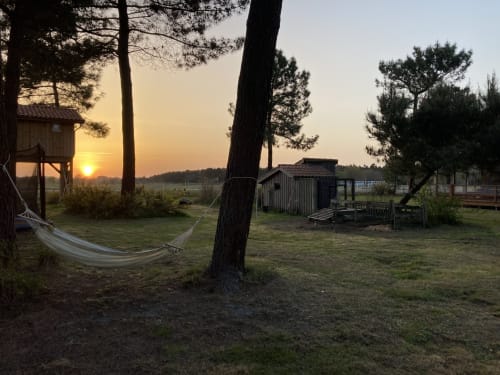 Le gîte de l'aérogrange, le jardin, location saisonnière, lotissement aéronautique aérodrome de Biscarrosse et Parentis

