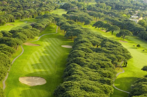 STAYNGOLF, Séjour golf au soleil, avec logement stage golf sur la Côte d'Azur, stage carte verte et golf perfectionnement, stayngolf.com, golf cannes mandelieu