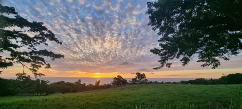 Sunset over green meadows at Le Domaine De L'ilet, a bed and breakfast in Saint-Claude, Guadeloupe