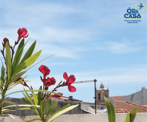 Fleurs rouges avec l'architecture historique de Peniche et l'église en arrière-plan à la maison d'hôtes Ó da Casa