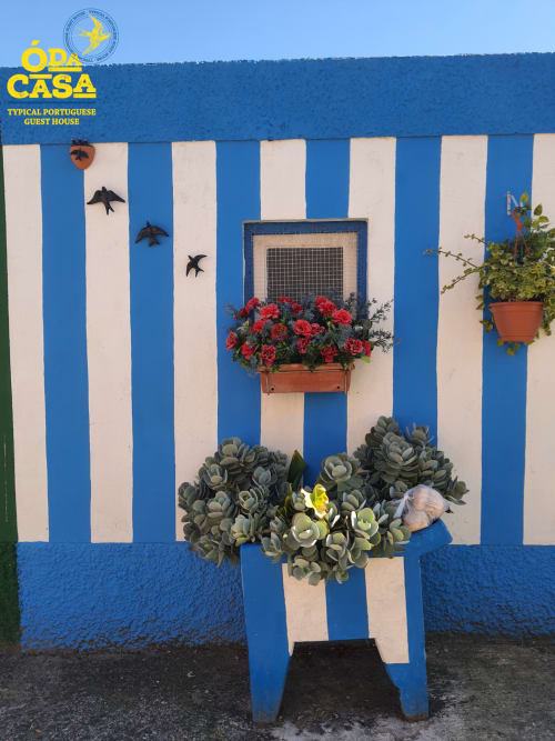 Façade bleu et blanc rayée de la maison d'hôtes Ó da Casa à Peniche, avec fleurs rouges et plantes succulentes