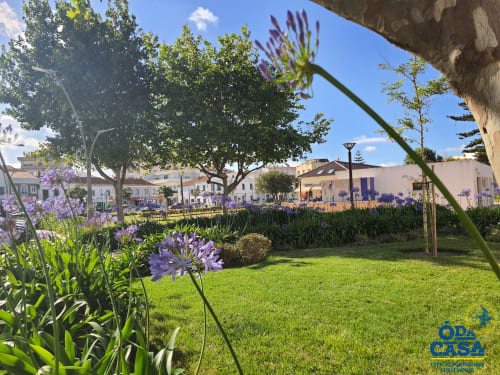 Les fleurs violettes d'agapanthe s'épanouissent dans la cour du jardin d'Ó da Casa à Peniche, Portugal, avec des bâtiments vue mer en arrière-plan.