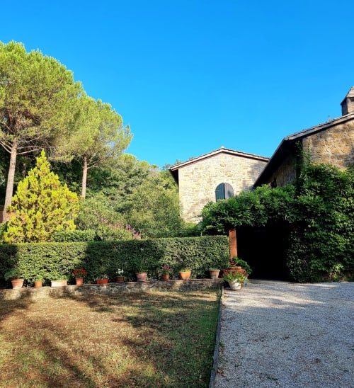 Italian villa entrance with stone architecture, manicured hedges, terracotta pots, and tall pine trees under clear blue sky