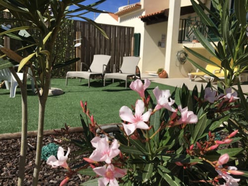 Garden in Casa Maré Sagres Algarve