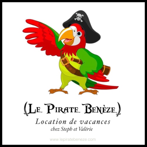 Perroquet pirate de dessin animé avec chapeau à crâne et bandana pour la location de vacances Le Pirate Benèze à Trizay, France
