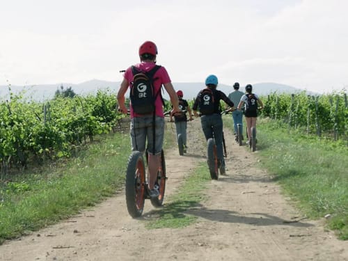 Group of cyclists riding on a dirt path through vineyards in Grignan, France