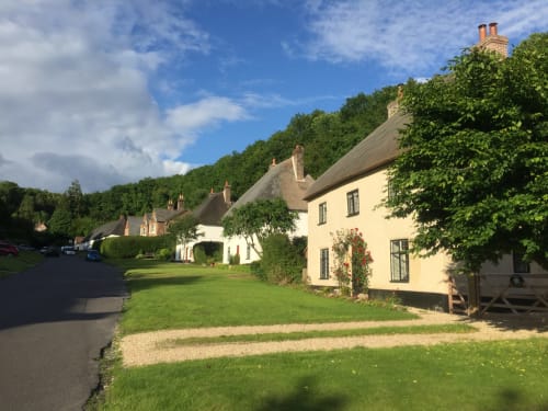Fila di cottage con tetto di paglia dell'hotel Three Little Pigs a Blandford Forum con prati verdi