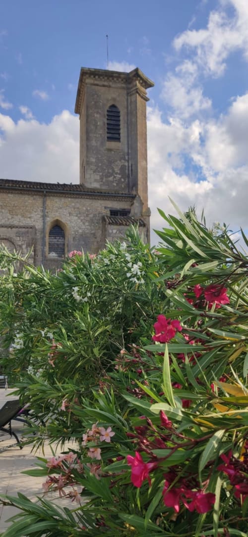 Garden detail at Le Rêve d’Alice with Mediterranean plants and church tower in the background