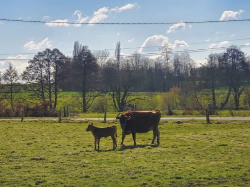 Gîte De Louvegan - Gîte de groupe, 14 personnes, Gorron, Mayenne, Laval, Piscine, Piscine couverte, Campagne