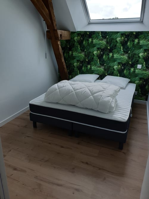 Gîte De Louvegan - Gîte de groupe, 14 personnes, Gorron, Mayenne, Laval, Piscine, Piscine couverte, Campagne