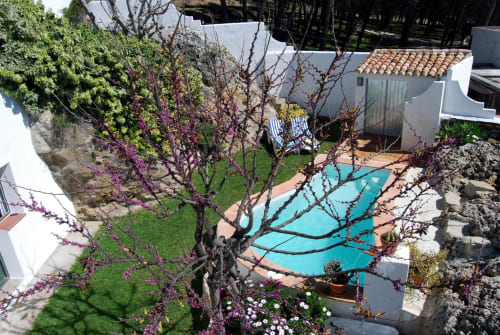 swimming pool and watered lawn