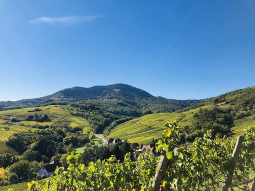 Wunderschöne Sicht auf Bernardvillé und Reichsfeld