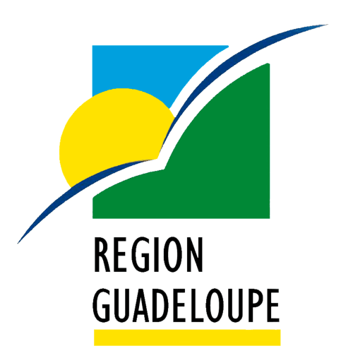 Logo oficial de la Región de Guadalupe con formas geométricas azules, amarillas y verdes con líneas curvas