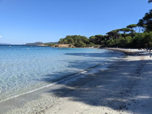The Silver beach of the island of Porquerolles - Holidays Giens - Near the apartment La Girelle
