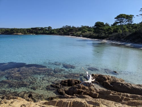 Silver Beach of the island of Porquerolles - Holidays Giens - Near the apartment of Mérou