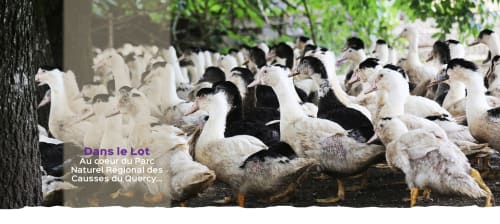 la ferme de larcher au coeur du parc naturel des causses du Quercy