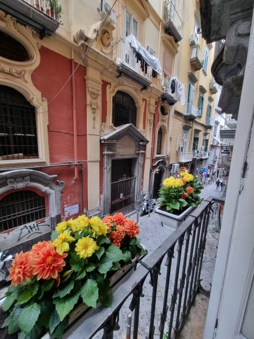 Balcony view of Naples alleyway with colorful dahlias, historic red building, and narrow street below at B&B Il Conservatorio