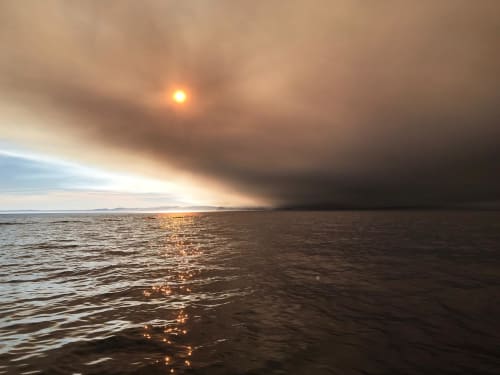 Incendie été 2022 Landes et Gironde forêt brulée à proximité du site de l'aérogrange à Biscarrosse 