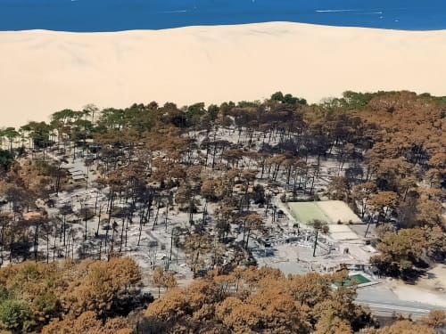 Incendie été 2022 Landes et Gironde forêt brulée à proximité du site de l'aérogrange à Biscarrosse 