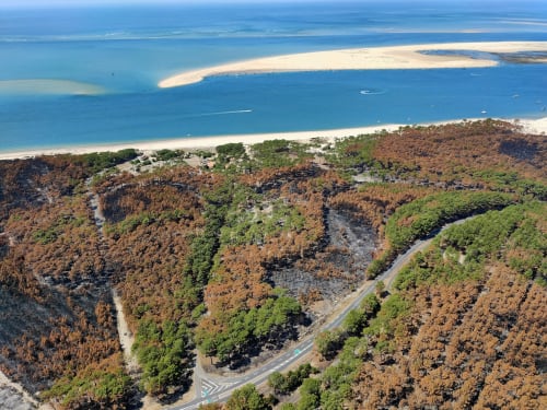 Incendie été 2022 Landes et Gironde vue aérienne banc d'Arguin et forêt brulée à proximité du site de l'aérogrange à Biscarrosse

