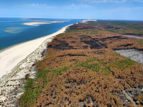 Incendie été 2022 Landes et Gironde vue aérienne banc d'Arguin et forêt brulée à proximité du site de l'aérogrange à Biscarrosse
