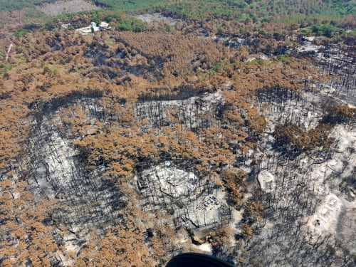 Incendie été 2022 Landes et Gironde vue aérienne forêt brulée à proximité du site de l'aérogrange à Biscarrosse
