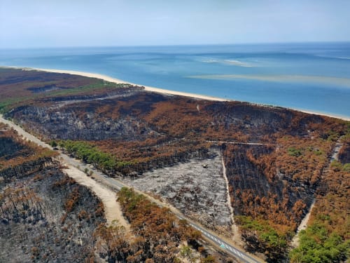Incendie été 2022 Landes et Gironde vue aérienne océan et forêt brulée à proximité du site de l'aérogrange à Biscarrosse
