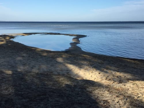 Vacances en famille à l'aérogrange de Biscarrosse. Location de gîtes toute l'année à proximité du lac de Biscarrose et Parentis.
