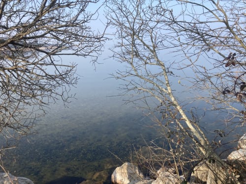 Lac de Cazaux et Sanguinet à proximité du site de l'aérogrange à Biscarrosse

