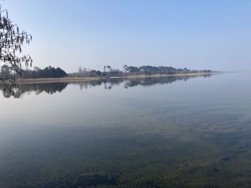 Lac de Cazaux et Sanguinet à proximité du site de l'aérogrange à Biscarrosse

