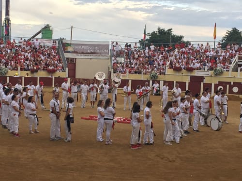 Férias de Parentis en Born, La Banda Lous Pegaillouns aux arènes de Parentis à proximité de l'aérogrange de Biscarrosse. Location de gîtes toute l'année.