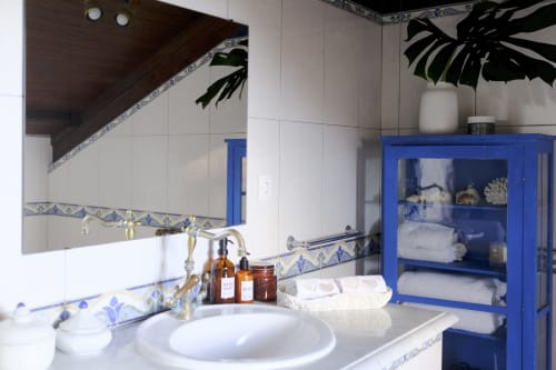 Elegant bathroom at Villa Várzea with white sink, blue-framed mirror and cabinet, decorative tilework, and monstera plant.