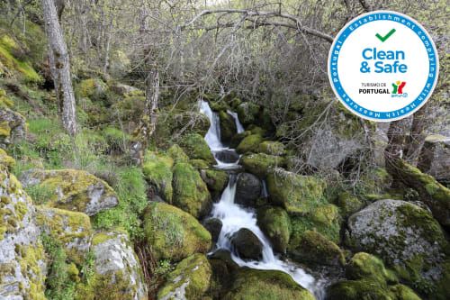 Cascata de montanha entre rochas cobertas de musgo e floresta em Cota 1500, Penhas da Saúde, Portugal