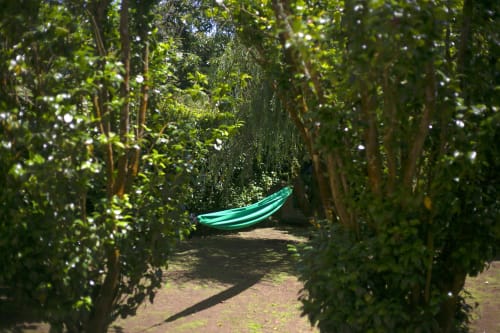 Turquoise hammock nestled in lush green foliage at Villa Várzea, a peaceful retreat in Várzea, Portugal