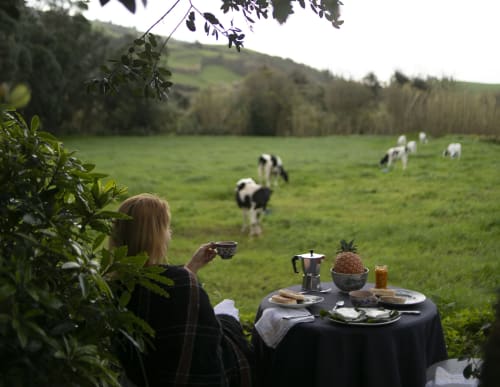 Woman enjoying outdoor picnic at Villa Várzea in Várzea, Portugal, with grazing goats and rolling hills