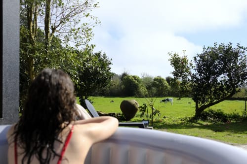 Guest enjoying pastoral views from Villa Várzea terrace overlooking green fields and grazing cattle in Várzea, Portugal